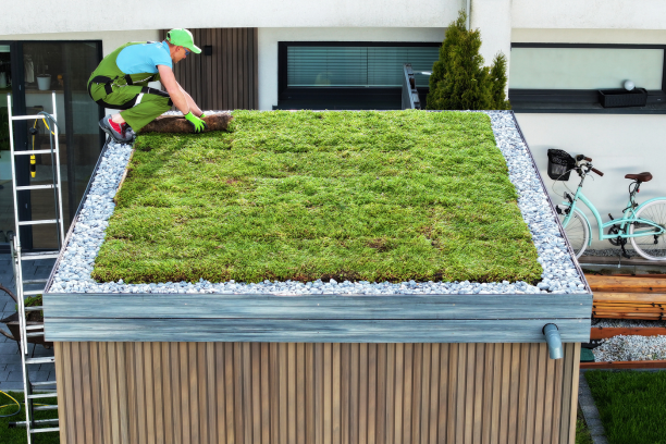 Green Roof