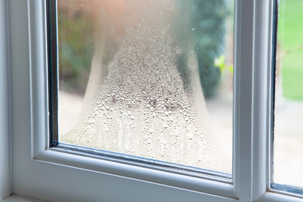 Why Professional Glazing Matters: Don’t DIY Your Windows