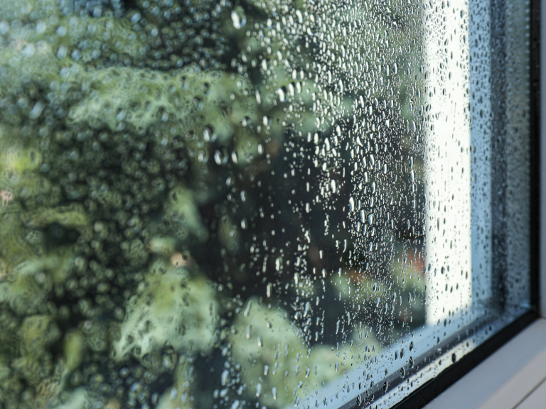 S G Window