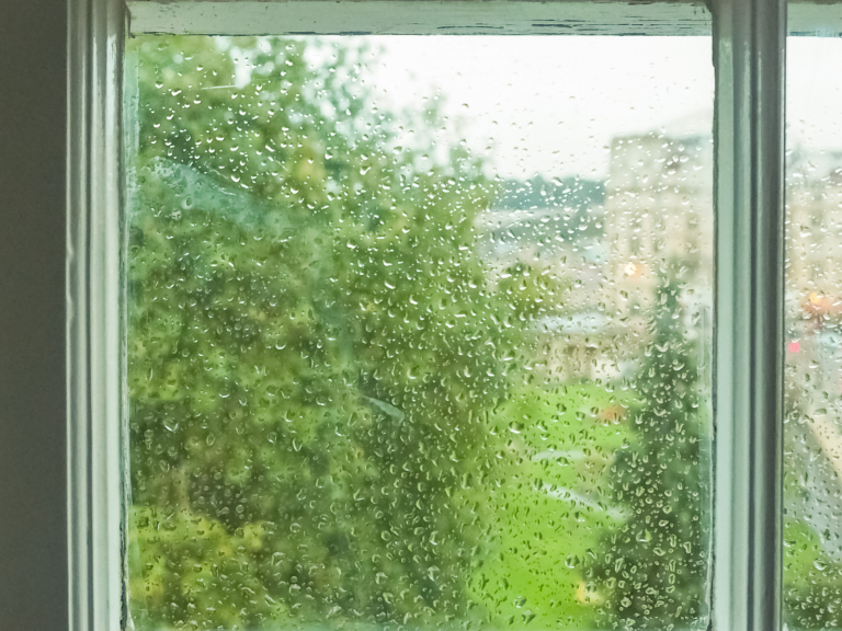S window