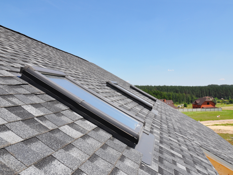 skylight-roof