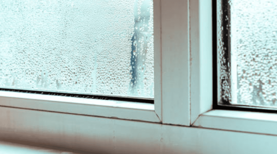 Window Leaking